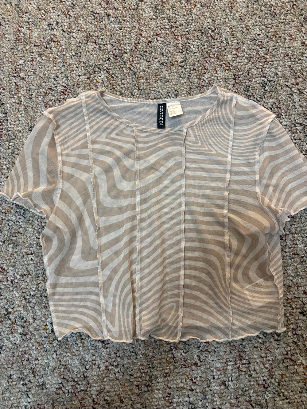 Lush Beige Cream Zebra-Stripe Sheer Crop Top
